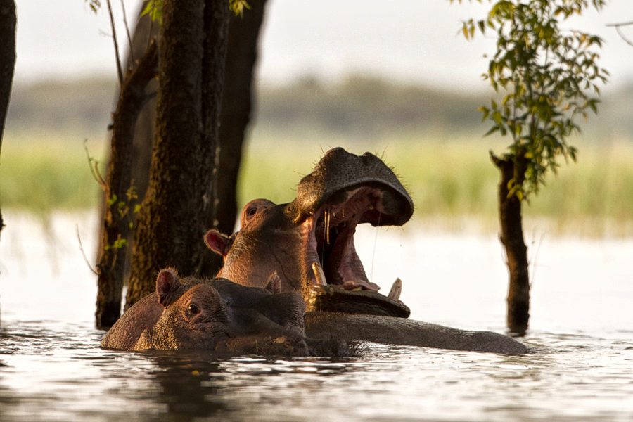 Lake Baringo