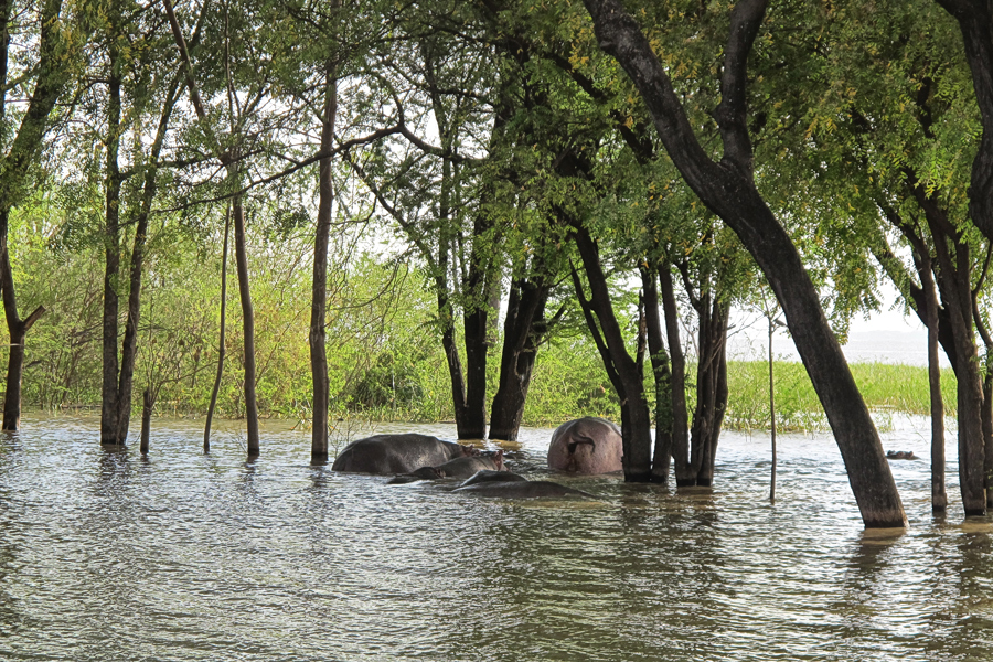 Lake Baringo