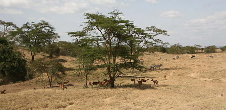 Lake Nakuru National Park