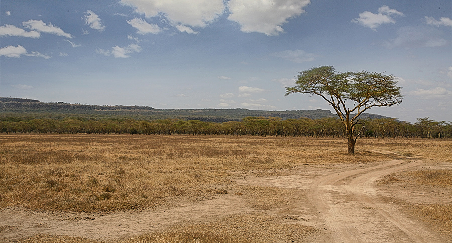 Lake Nakuru National Park