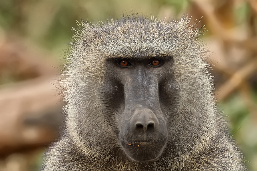 Lake Nakuru