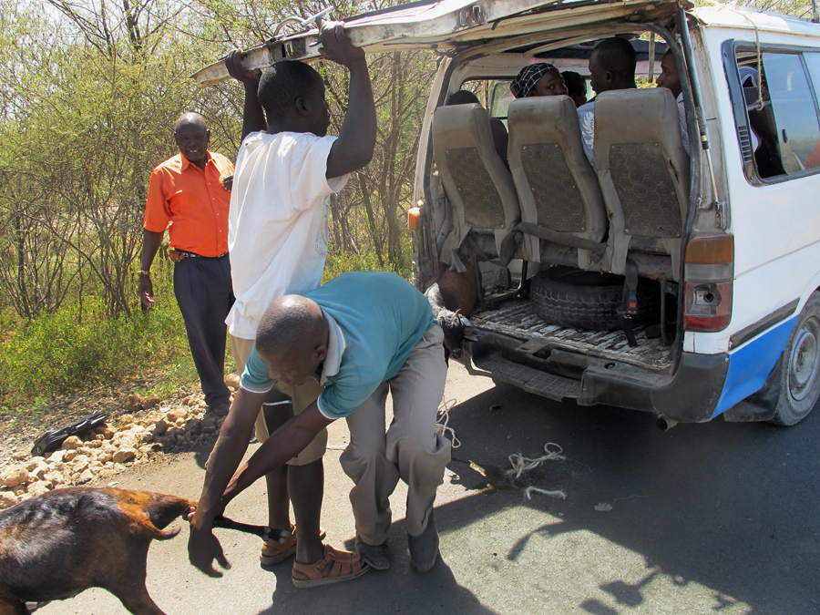Kenya matatu