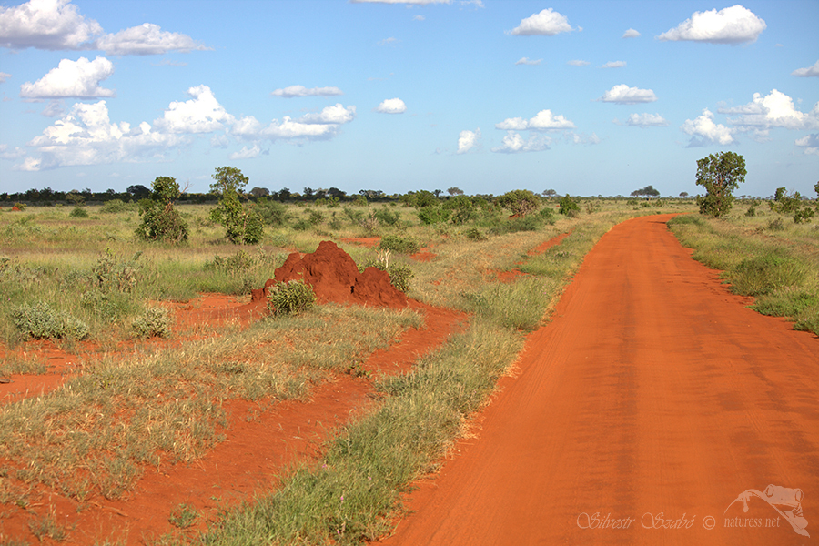 N&aacute;rodn&iacute; park Tsavo v&yacute;chod -Tsavo East 