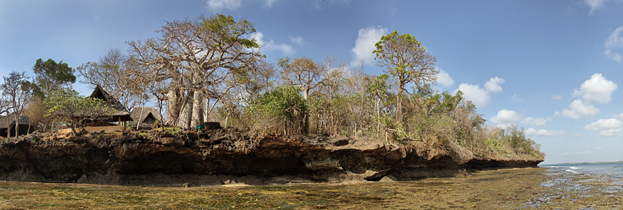 ostrov wasini kenya shimoni